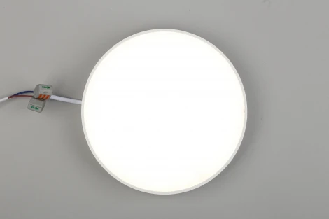 Потолочный светильник круглый Aployt Evon APL.0114.09.24 (LED, 220V, круглые)