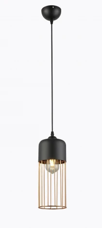 Подвесной светильник Rivoli Josefine 5051-201