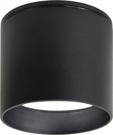 Потолочный светильник уличный Favourite Fantum 4661-1U