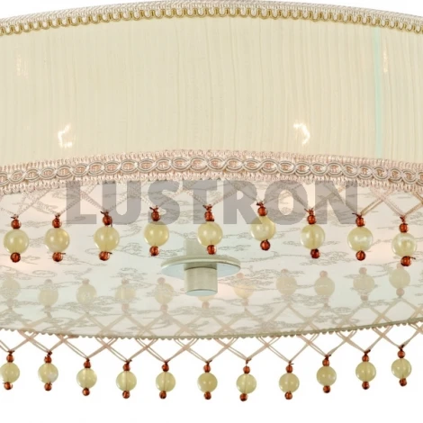 Потолочный светильник ST Luce SL141 SL141.502.05