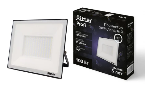 Прожектор уличный светодиодный Ritter PROFI 53419 2