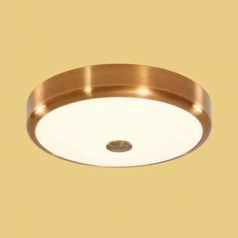 Настенно-потолочный светильник Citilux Фостер-1 CL706132