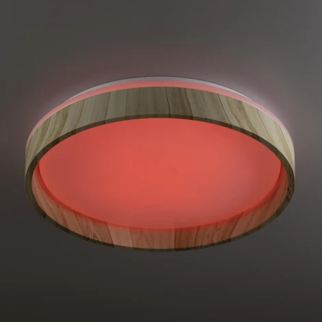 Потолочный светильник RGB круглый светодиодный с пультом Citilux Enzo CL753352G (220V, круглые)