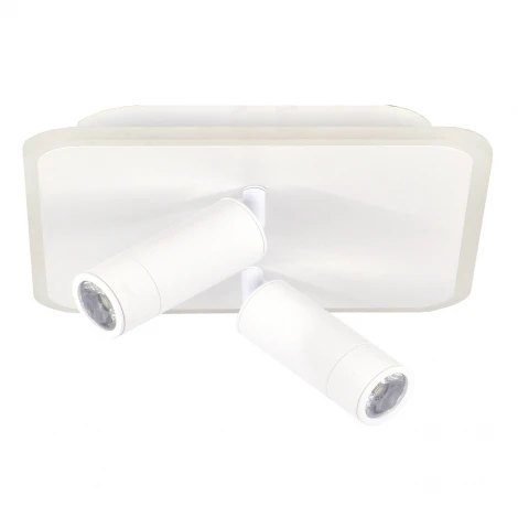 Настенно-потолочный светильник со спотами Escada 20024SMA/01LED WH LED 31W 4000K белый