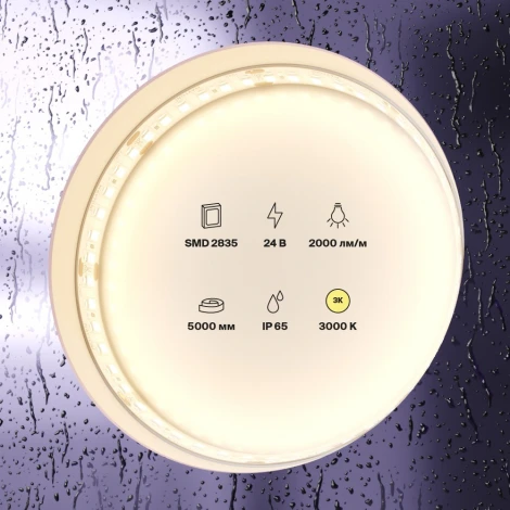 Светодиодная лента Maytoni Led strip 10157