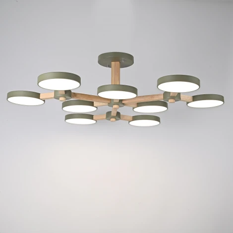 Потолочная люстра на штанге ImperiumLoft Turna-X01 Хаки (141111-26)