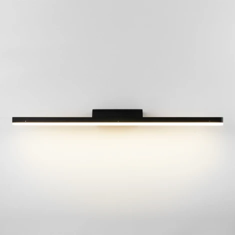 Подсветка для картин Elektrostandard Protect MRL LED 1111 чёрный (220V, IP44)