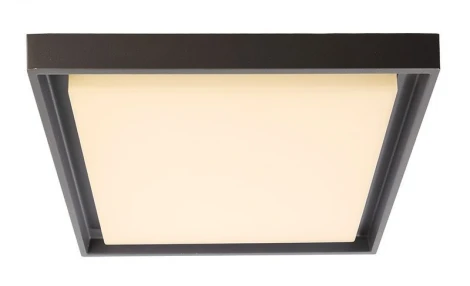 Потолочный светильник уличный Deko-Light Arneb 348070 (LED, 220V, IP54)