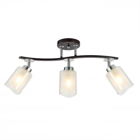 Потолочная люстра на штанге Citilux Фортуна CL156132 (220V)