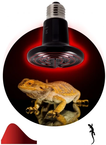 Инфракрасная лампа ЗРА FITO-100W-НQ керамическая CeramiHeat RX для брудера, рептилий 100 Вт Е27 ЭРА