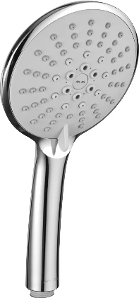 Душевая лейка Am.Pm Bliss L F0253100