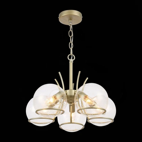 Подвесная люстра ST Luce Rescheza SL1136.203.05