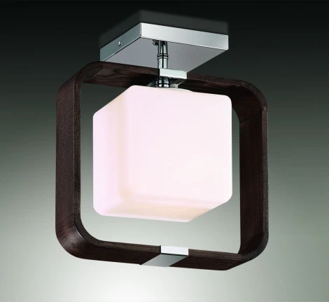 Потолочный светильник Odeon Light Via 2199/1C