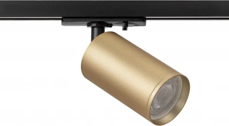 Трековый светильник ЭРА TR39-GU10 MG (220V, круглые)