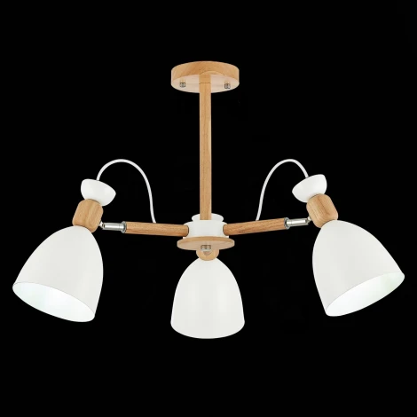 Потолочная люстра Evoluce Balcamo SLE103802-03 (220V)