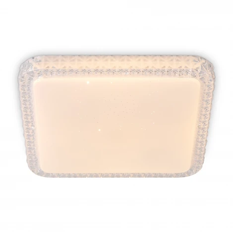 Потолочный светильник светодиодный умный Freya Bissar FR6227CL-L36W 36Вт LED