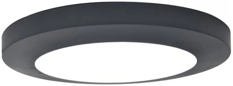 Потолочный светильник уличный светодиодный Oasis Light SIDNEY LED W3922 Gr (220V, круглые, IP54)