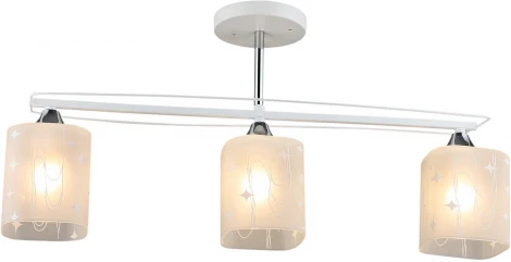 Потолочная люстра на штанге Reluce 01698-0.3-03 (220V)