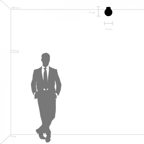 Потолочный светильник круглый Lightstar Globo 812011 (220V, шар)