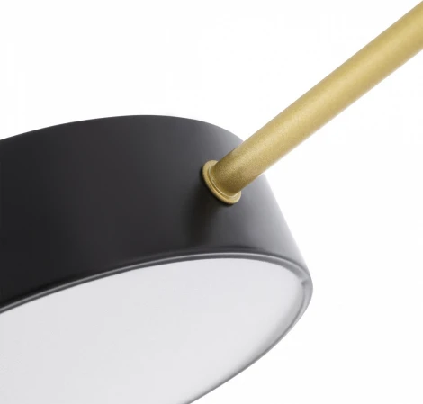 Потолочная люстра светодиодная на штанге Arte Milano Ferrara 252006/5 Bk/Bk (220V, круглые)