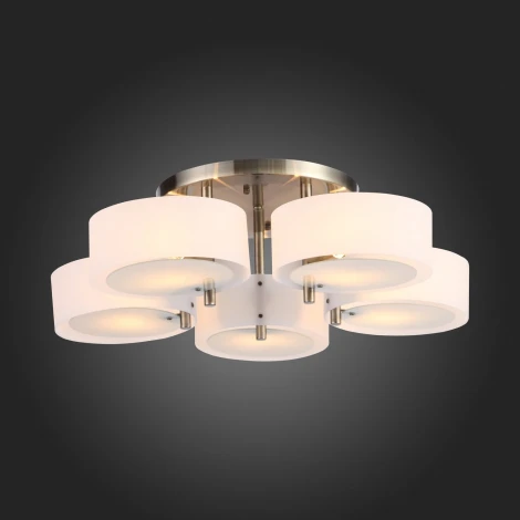 Потолочная люстра ST Luce Foresta SL483.352.05