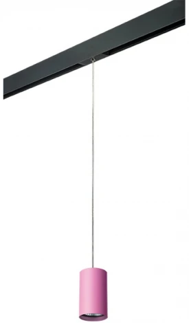 Трековый светильник однофазный 220V Lightstar Rullo PRORP432 (круглые)