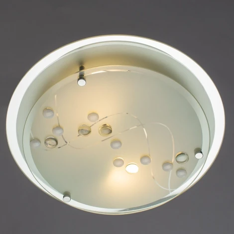 Потолочный светильник Arte Lamp Belle A4890PL-2CC