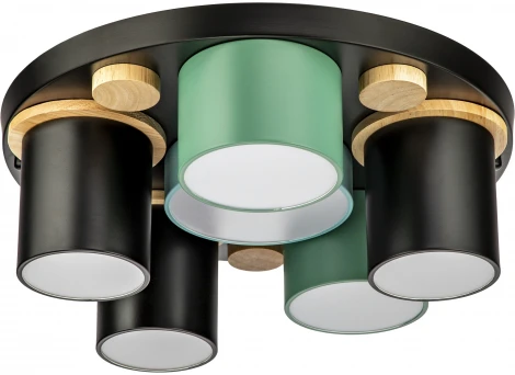 Потолочный светодиодный светильник с ДУ Ritter Scandia 52075 7