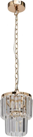 Подвесная люстра MW-Light Аделард 642014301 (220V, хрусталь, на цепи, круглые)