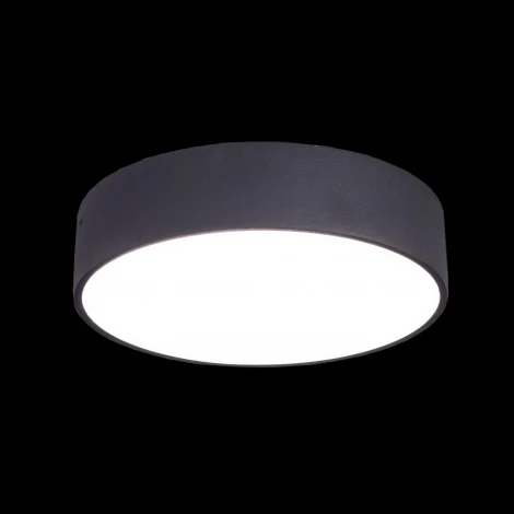 Накладной точечный светильник Citilux Тао CL712182N (регулировка яркости, LED, 220V, круглые)