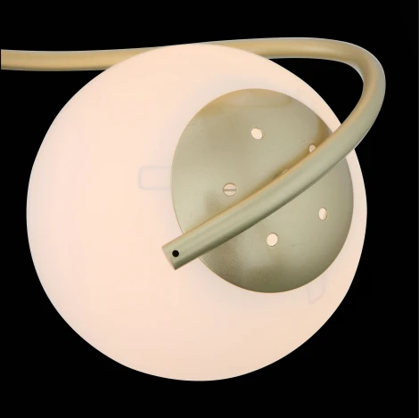 Потолочная люстра ST Luce Delicata SL711.202.04