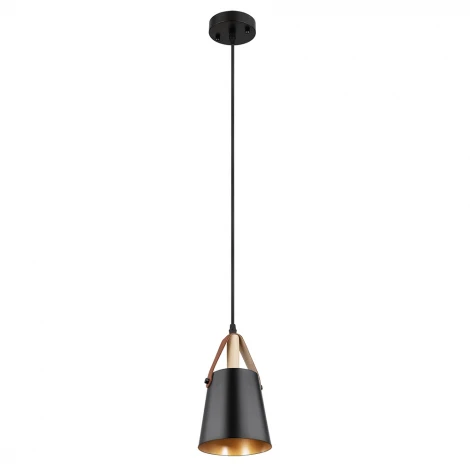 Подвесной светильник Arte Lamp Thomas A7032SP-1BK (220V, на проводе)