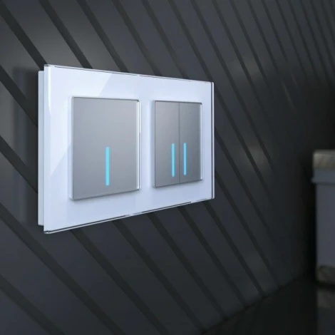 Сенсорный выключатель двухклавишный с подсветкой 1000 Вт (серебряный) W4520006 Werkel (a057681)