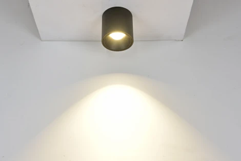 Накладной светильник светодиодный DesignLed GW GW-8701-11-BL-WW (220V, круглые)