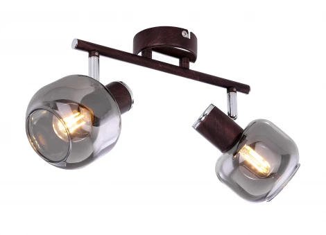 Спот на штанге Globo Pallo 54303-2 (220V)