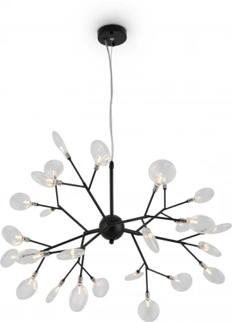 Люстра подвесная Florencia FR5049PL-27B (220V, на тросе, лепестки)