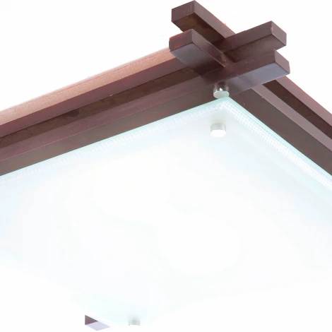 Настенно-потолочный светильник Globo EDISON 48324 (220V)