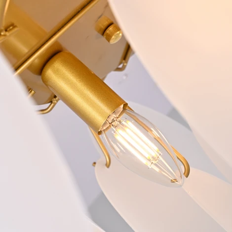 Потолочная люстра ImperiumLoft ESKIMOS 11005 ImperiumLoft Cld_11005 (289867-87)