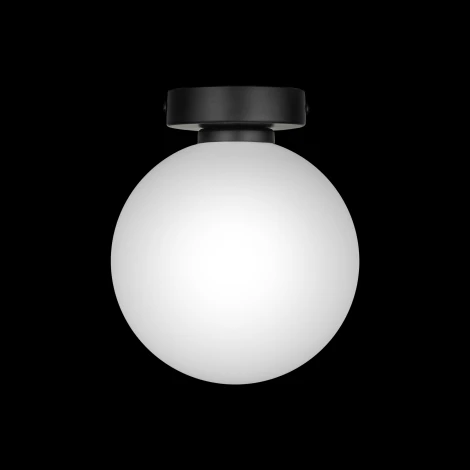 Настенно-потолочный светильник 33 Идеи WLL105.17BL-S32WH (220V, шар)