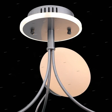 Потолочная люстра ST Luce Acini SL717.552.06
