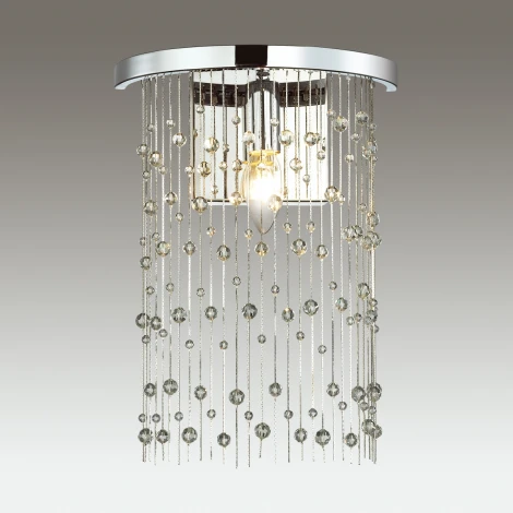 Настенный светильник Odeon Light Raini 4845/1W