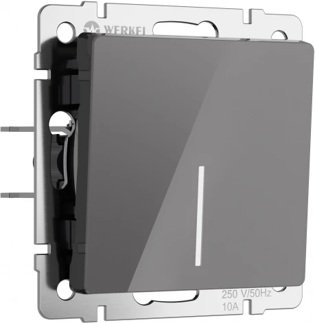 Выключатель одноклавишный с подсветкой (графит акрил) Werkel W1110144 (a064077)