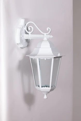 Настенный фонарь уличный Oasis Light Petersburg M White 79802M
