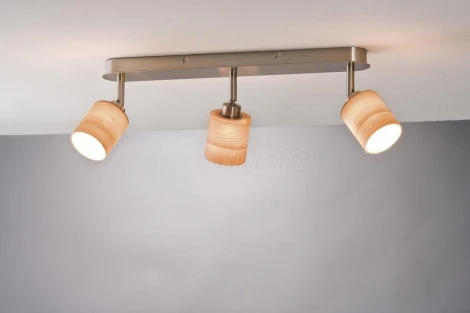 Спот Paulmann DecoSystems 60104