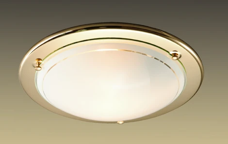 Настенно-потолочный светильник Sonex Riga 115