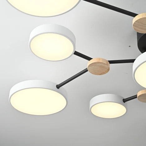 Потолочная люстра с пультом на штанге LED Lu Carte LC-11-1716