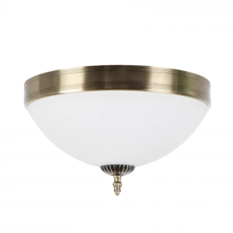 Потолочный светильник круглый MyFar Biene MR1527-3C (220V, круглые)