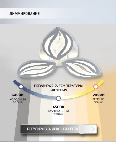 Потолочная люстра Seven Fires Arain SF5044/3C-WT