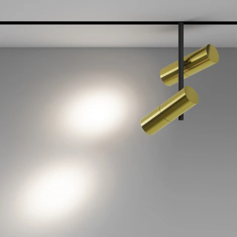 Трековый светильник магнитный 48V Maytoni Elti Duo TR005-2-2X12W4K-BBS (LED, круглые)