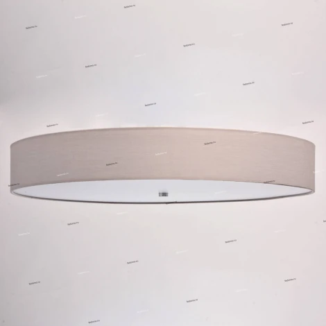 Потолочный светильник MW-Light Дафна 453011801